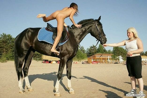 [PNuDL] Ride on horseback