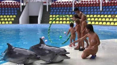 [PNuDL] Dolphin Day Delights 1