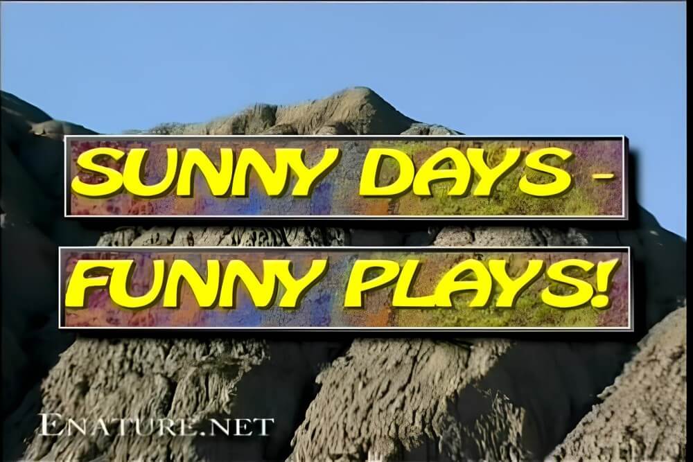 [PNuDL] Enature - Sunny Days – Funny Plays