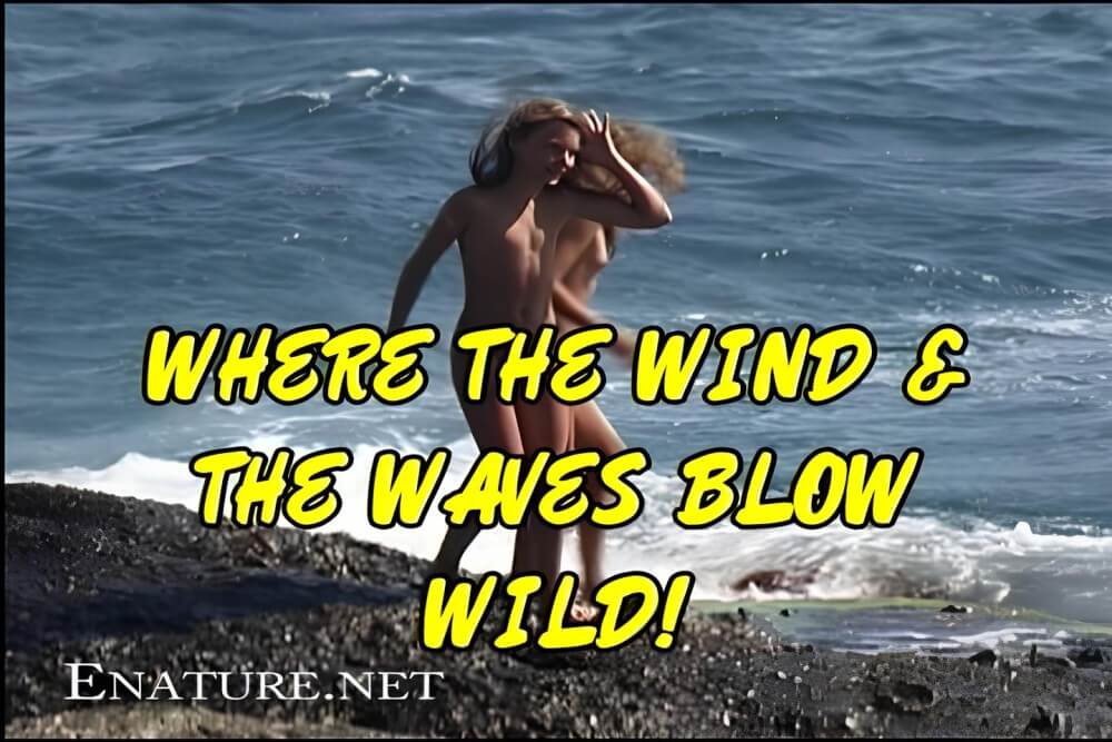 [PNuDL] Enature - Where the Wind and the Waves Blow Wild!