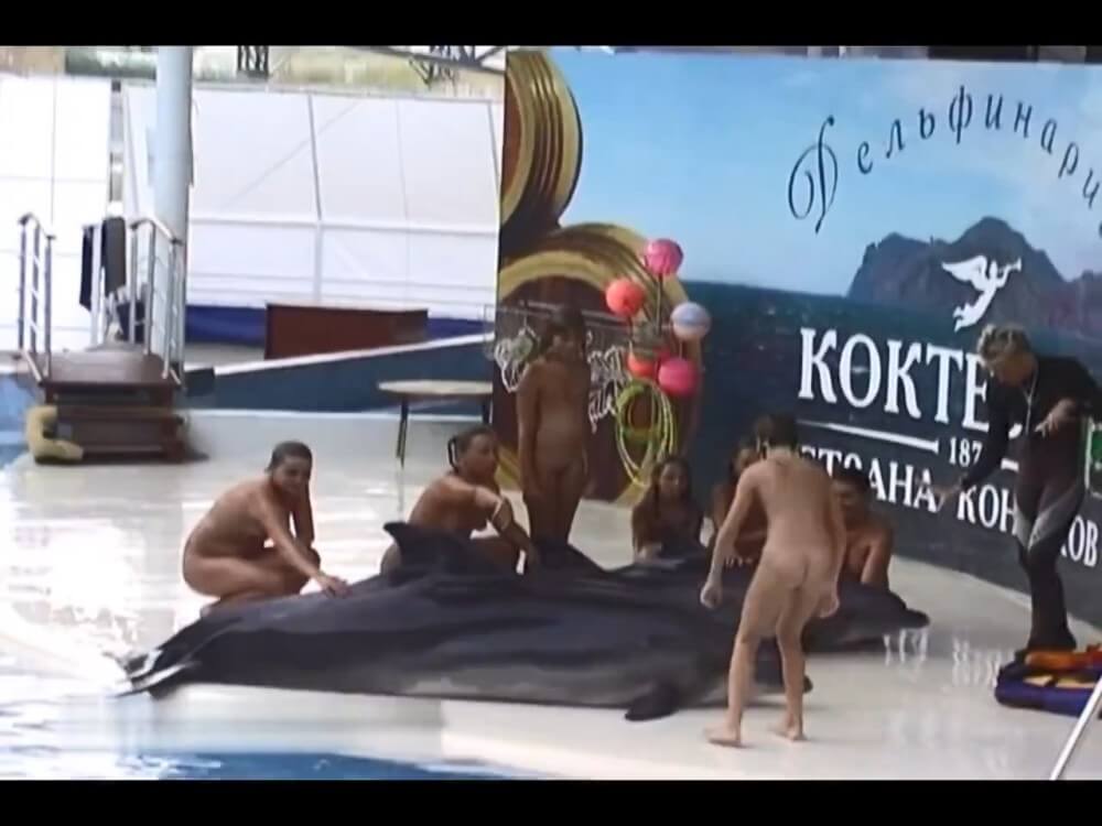 [PNuDL] Relaxing at the dolphinarium