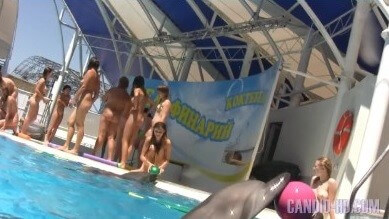 [PNuDL] Amazing Dolphin Encounter HD video